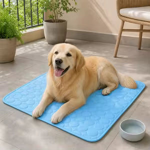 Chill Mat Cooling Pad