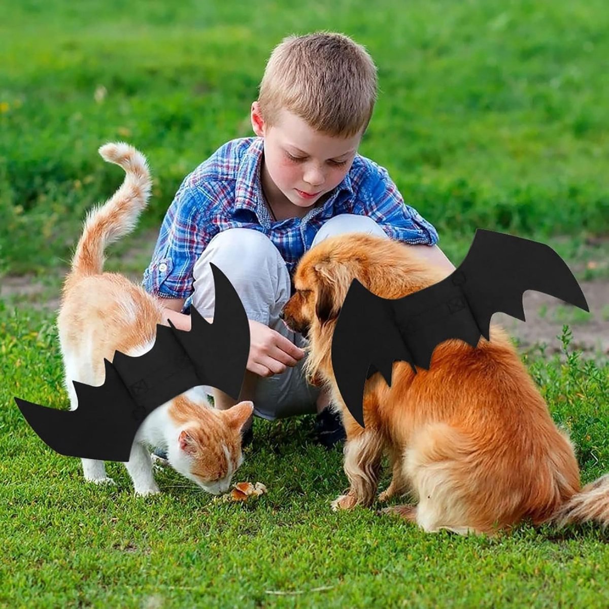 Pumpkin Bat Costume