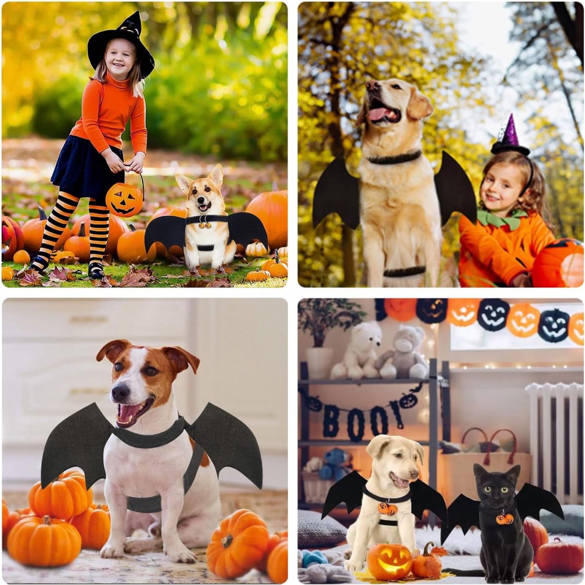Pumpkin Bat Costume