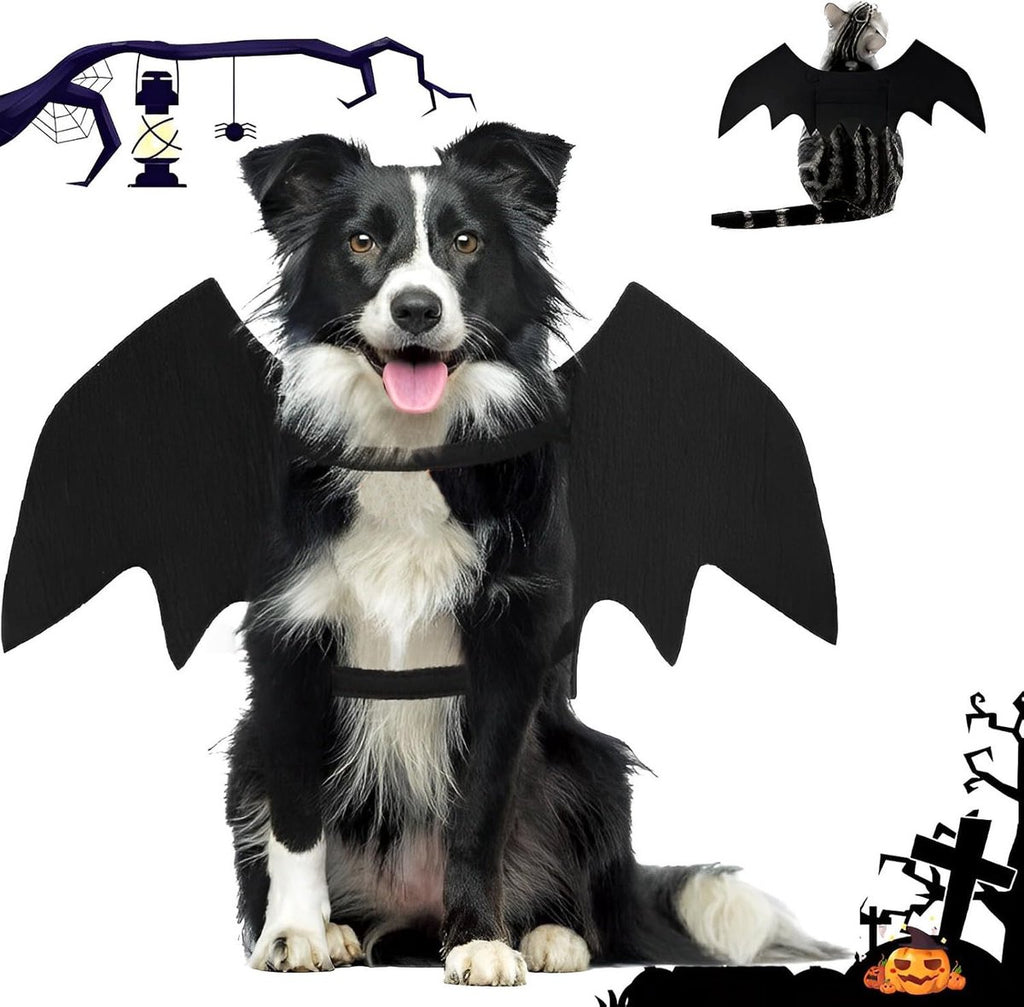 Bat Wings Costume (Large)
