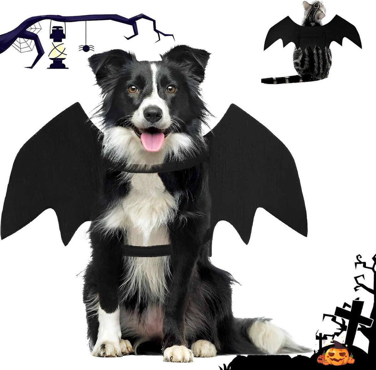 Bat Wings Costume (Large)