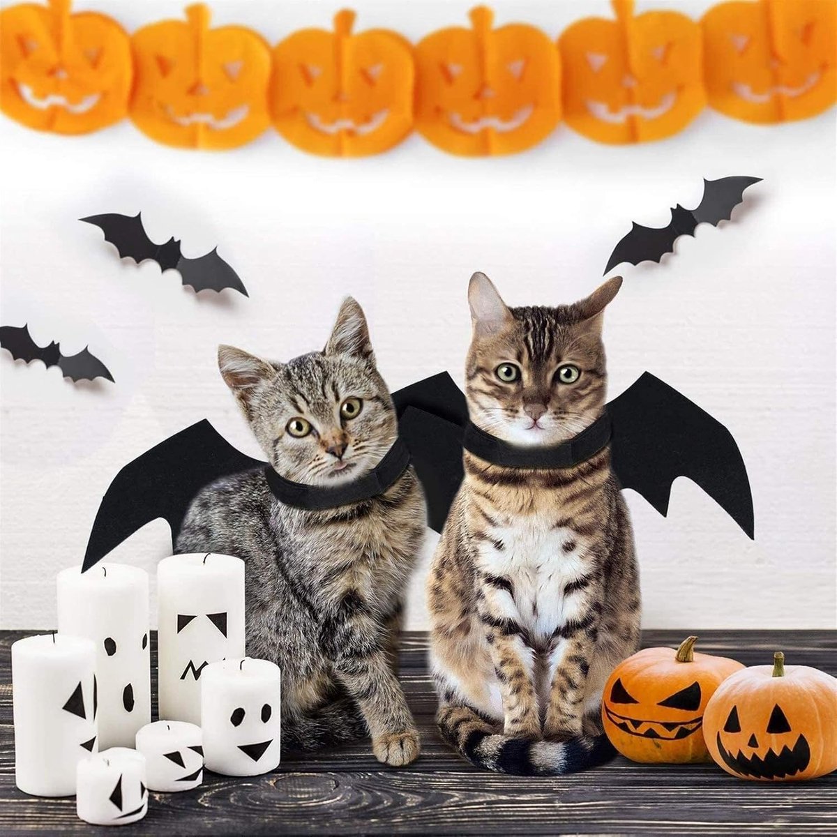 Bat Wings Costume (Large)