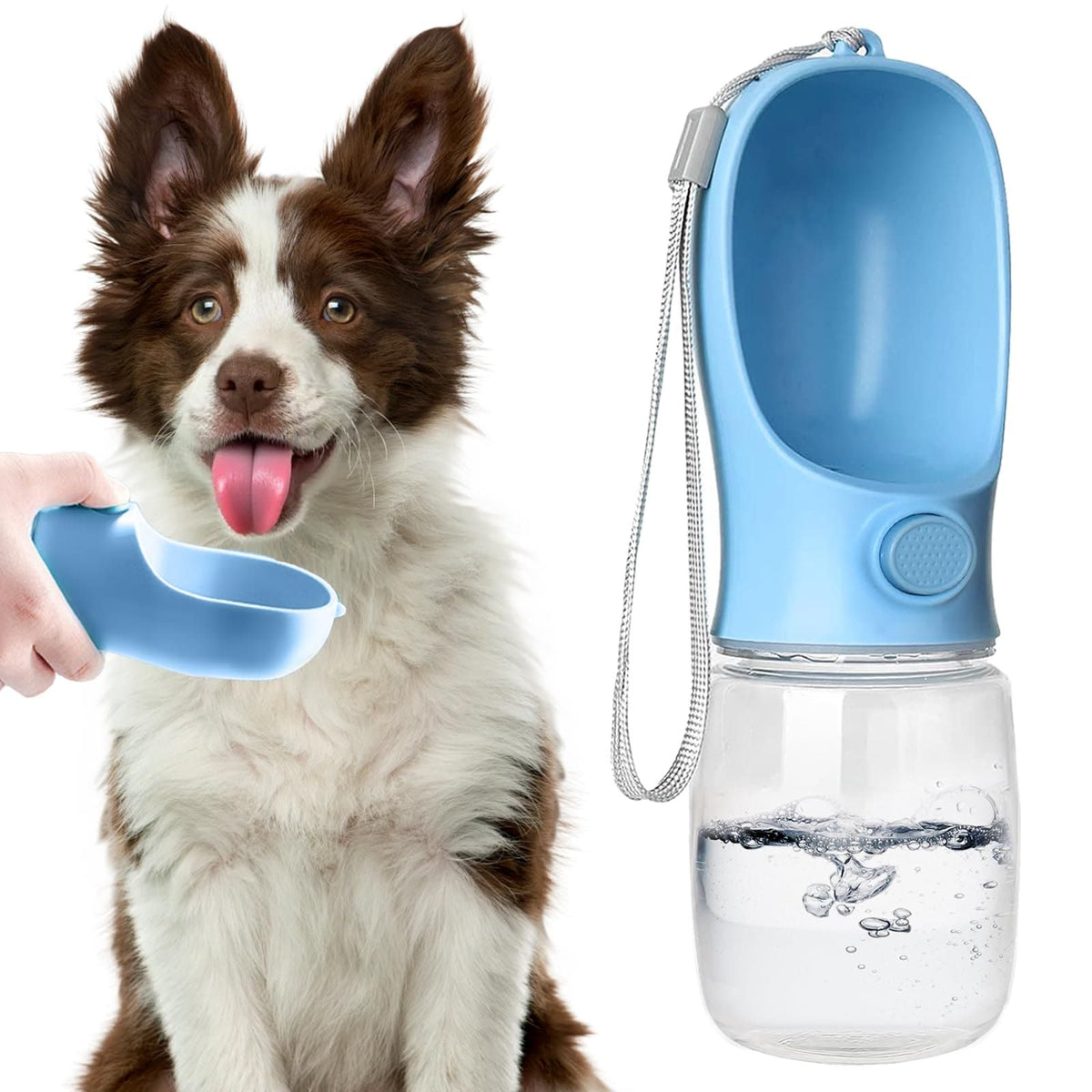 Splash Water Bottle