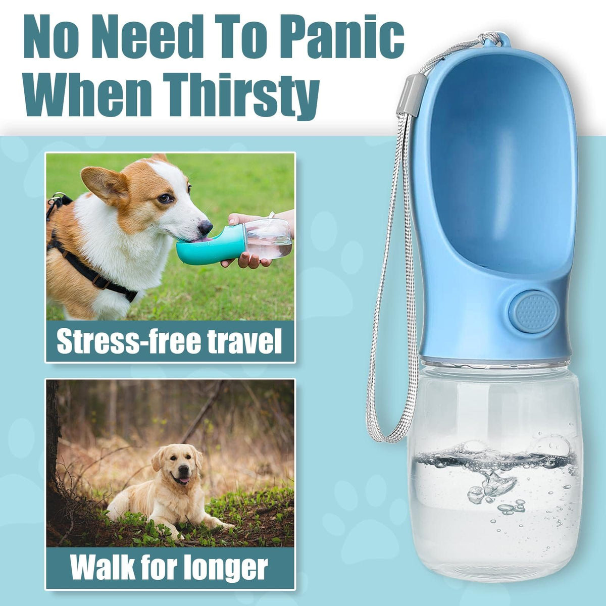 Splash Water Bottle