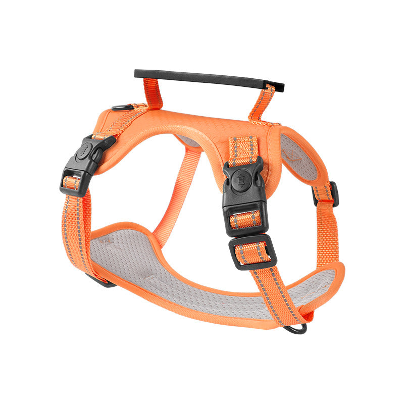 Adventure Harness & Leash Set