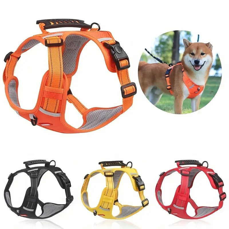Adventure Harness & Leash Set