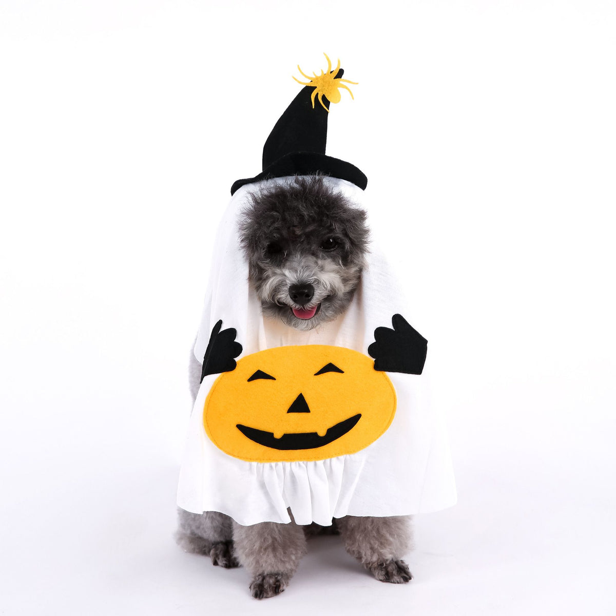 Pumpkin Ghost Costume