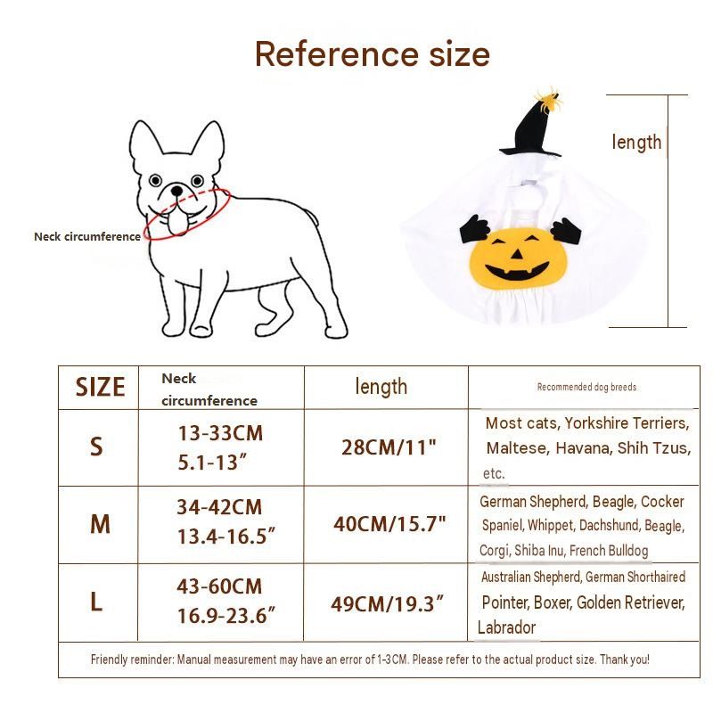 Pumpkin Ghost Costume