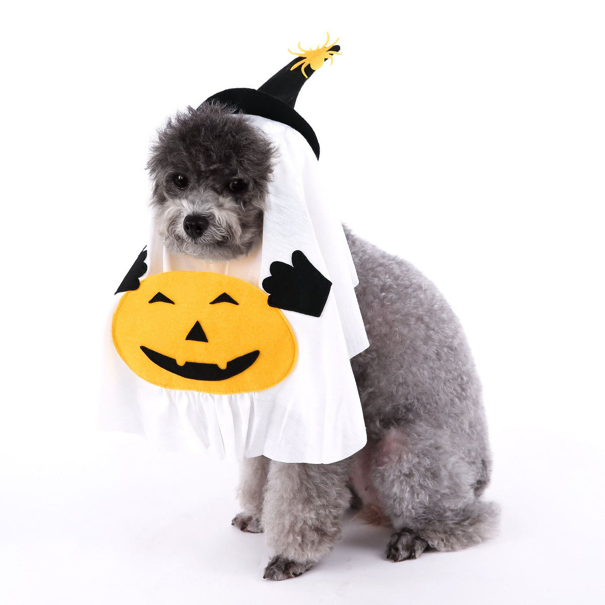 Pumpkin Ghost Costume