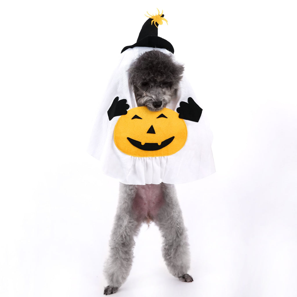 Pumpkin Ghost Costume
