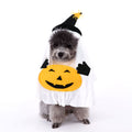Pumpkin Ghost Costume